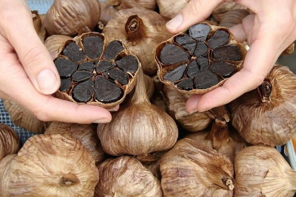 تصویر 1 از خرید و قیمت سیر سیاه خشک + فروش صادراتی
